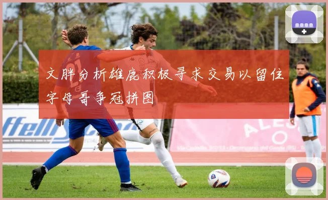 文胖分析雄鹿积极寻求交易以留住字母哥争冠拼图