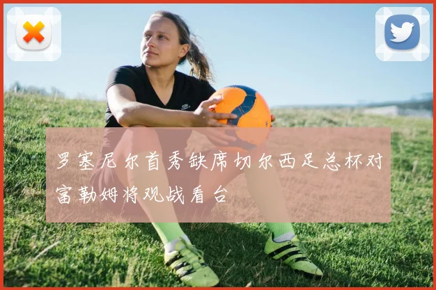 罗塞尼尔首秀缺席切尔西足总杯对富勒姆将观战看台